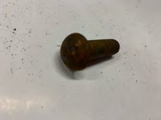 Rivet à chaud 3/8’’x1’’