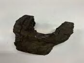 Chape pont pignon attaque (Cc599087)