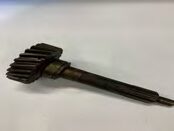 Pignon à queue (gm2095532)