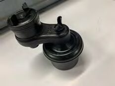 Reniflard (gm1543015)