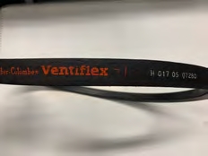 Courroie ventilateur armée française* (Gm2190551)