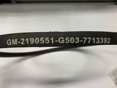 Courroie ventilateur standard* (Gm2190551)