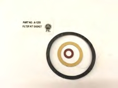 Joint filtre a essence (Woa1259)