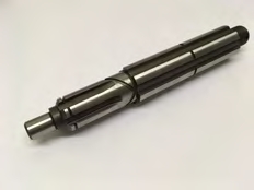 Arbre à cannelures (woa519)