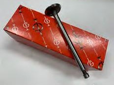 Soupapes échappement (Woa637183)