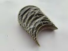 Coussinet de Bielle 0,10